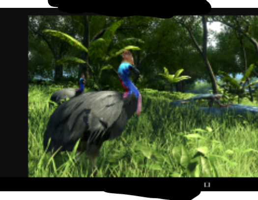 Night Zookeeper Zoo Profile - feather family cassowary roblox